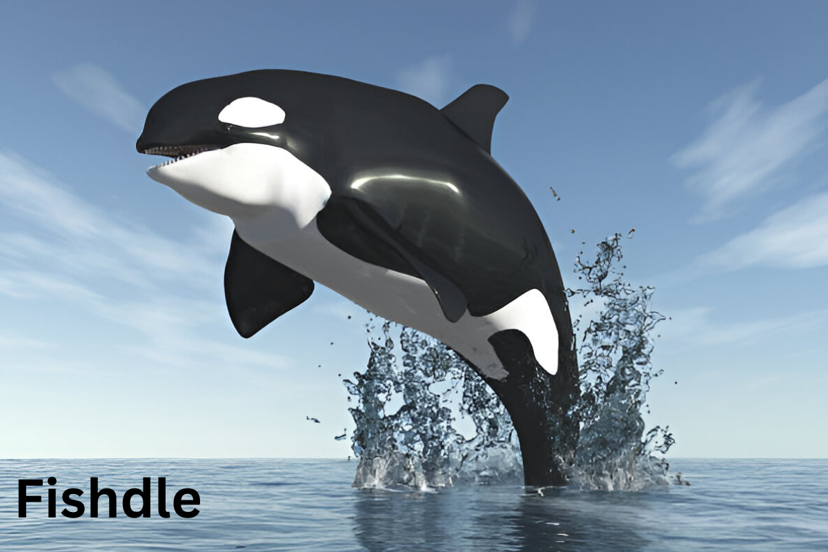 The Ultimate Guide to Playing and Mastering Fishdle