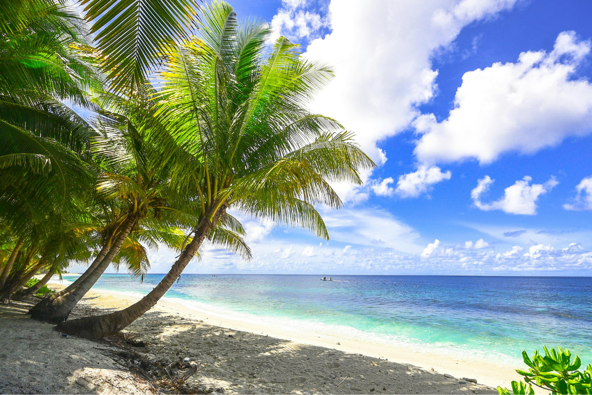 Experience Nature’s Best Kept Secret on Yukevalo Island